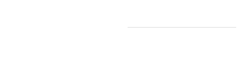 Duque Immigration Law | Miami Immigration Attorney Logo